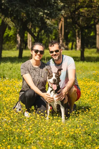 Paar posierend mit ihrem Hund in einer Blumenwiese