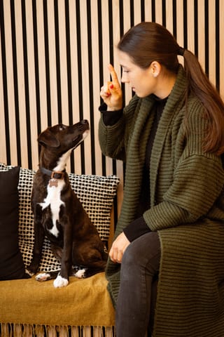 Frau mit ihrem Hund im Studio