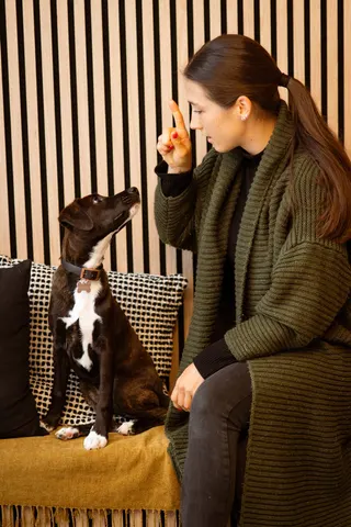 Frau mit ihrem Hund im Studio