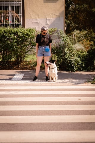 Frau mit ihrem Hund auf city street
